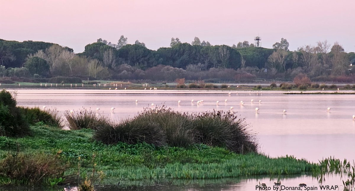 Responsible water stewardship