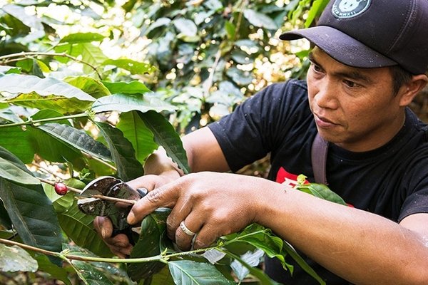 fairtrade