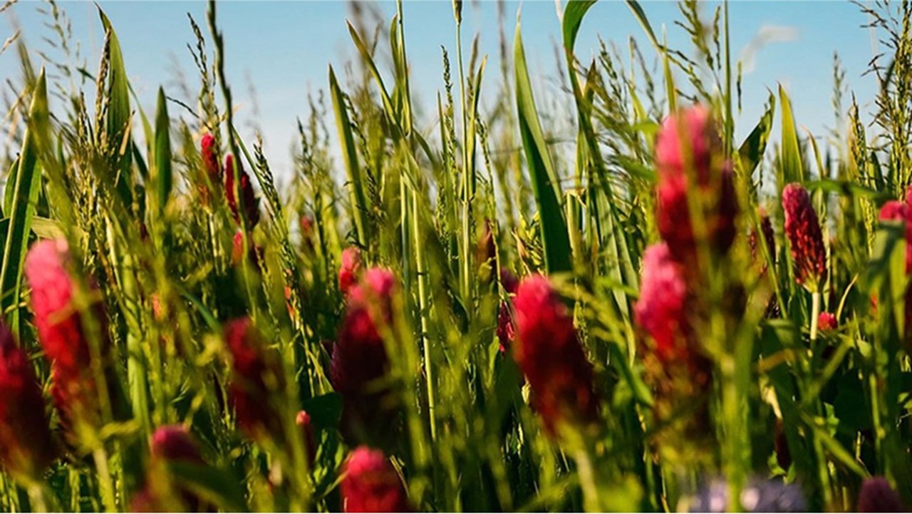 Our policies and performance