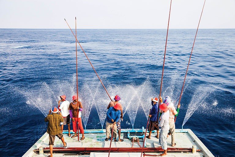 Fishermen catching fish