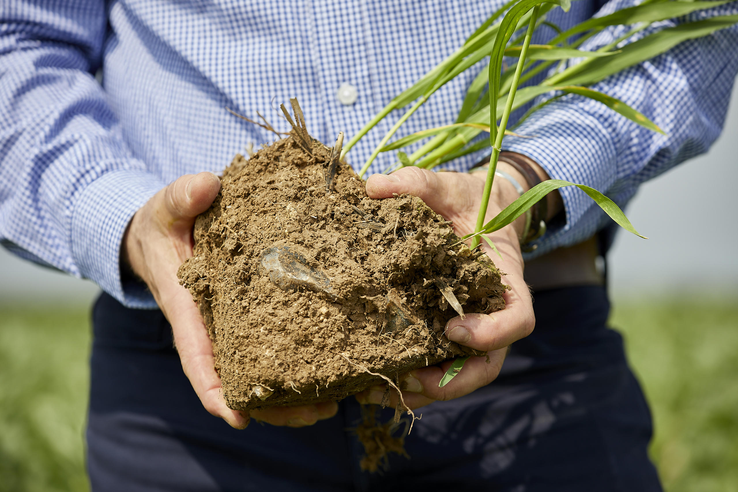 Image of Waitrose accelerates nature-friendly farming commitments with £1m investment