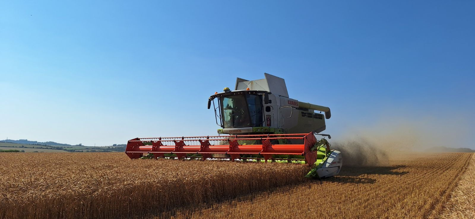 Image of Heatwave drives earliest ever harvest at Waitrose Leckford Estate
