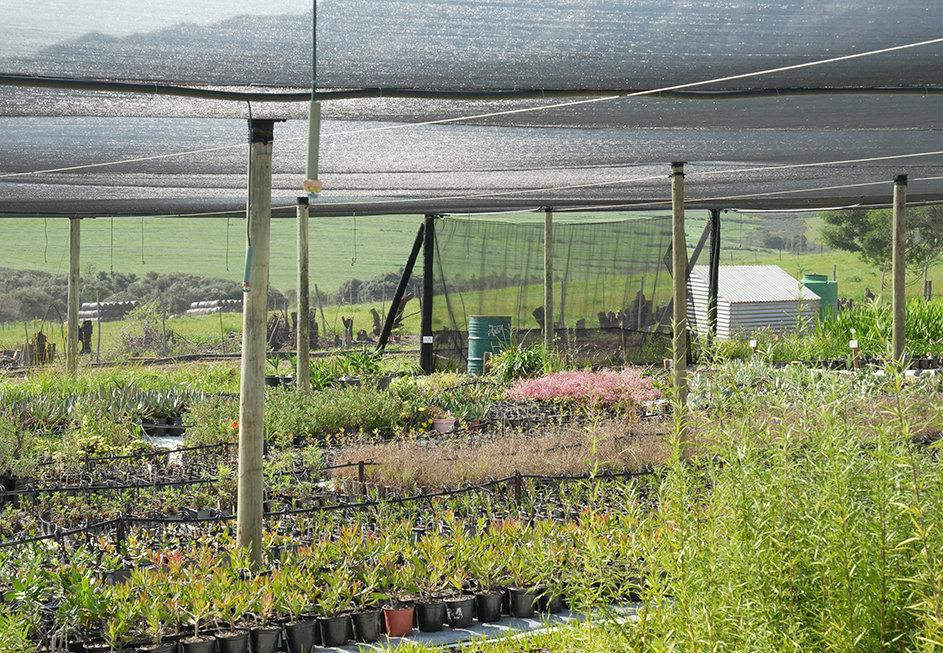 Waitrose will source own-brand UK