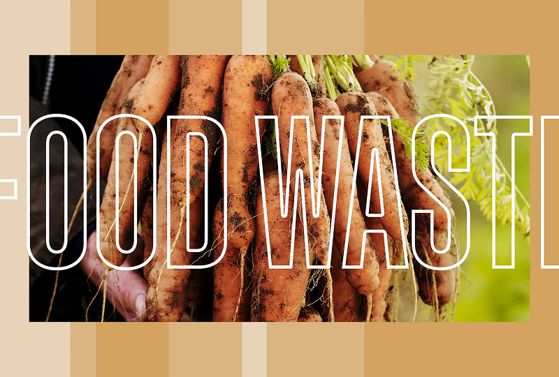Tackling food waste at home