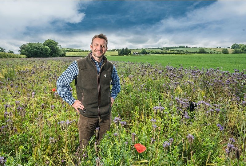 Access to expert guidance