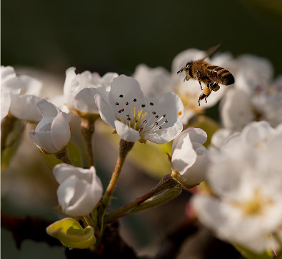 Nature & biodiversity