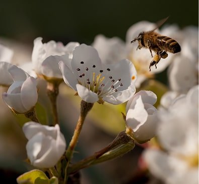 Sustainability News