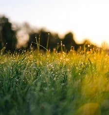 Environment