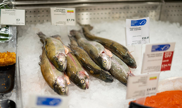 Responsibly Sourced Seafood