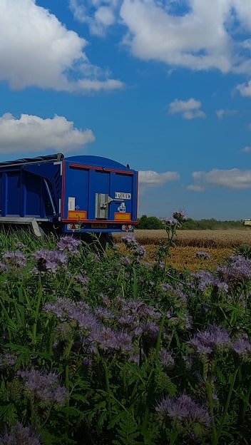UK farms will have land management plans over the next two years.