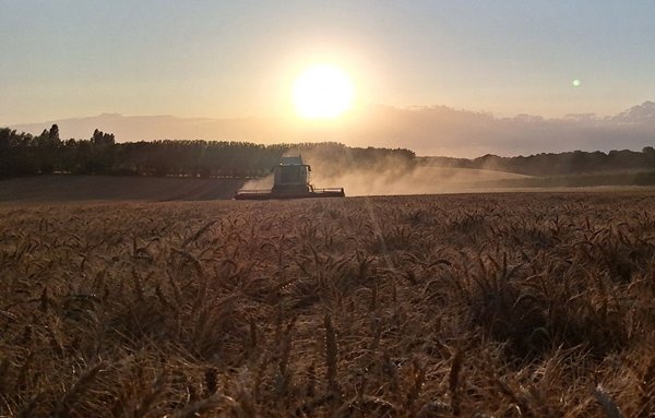 Image of Autumn’s arrived early as Waitrose reports speedy harvest