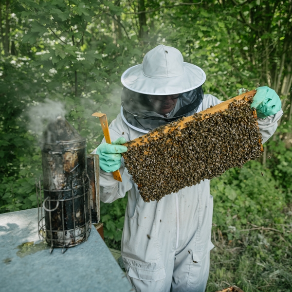 Image of Waitrose collaborates with National Geographic CreativeWorks for new YouTube series championing regenerative farming